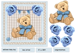 New baby Boy Quick card
