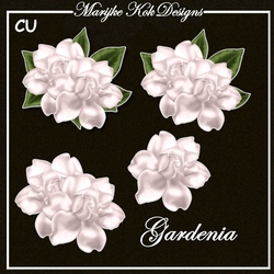 CU Beautiful Gardenia