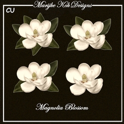 CU Beautiful Magnolia Blossom