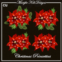 Cu Christmas Poinsettias