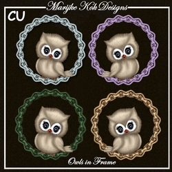 CU Cute Owl In Frame