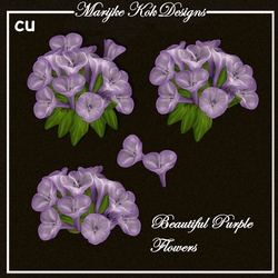 CU Beautiful  Purple Flowers