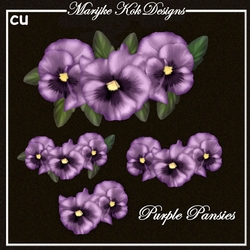 CU Purple pansies