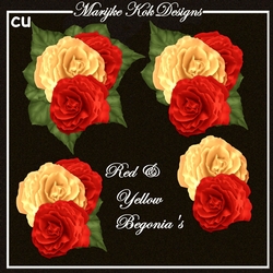 CU Red & Yellow Begonias