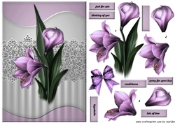 Sympathy Amaryllis
