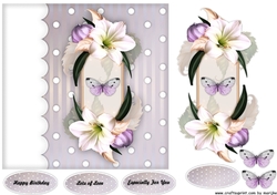 Amazing Amaryllis 4