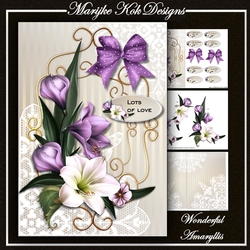 Wonderful Amaryllis Mini Kit