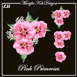 CU Beautiful Pink Primroses