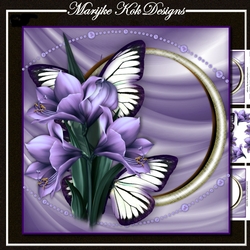 Amaryllis & Butterflies