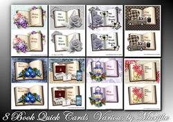 Bumperkit 8 Book Quick Cards Various