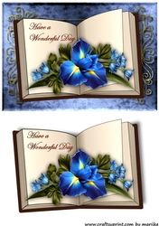 Book Wonderful Day