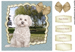 Scallop Topper Cute Doggie