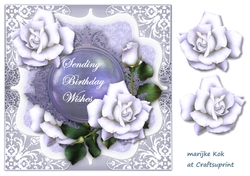 Birthday Roses 