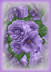 A4 Lavender Flowers  Background