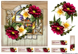 Beautiful Window 1