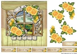Beautiful Window 4
