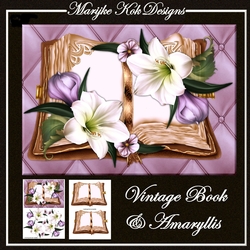 Vintage Book & Amaryllis Mini Kit