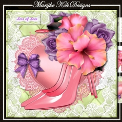 Wonderful Shoes & Hibiscus