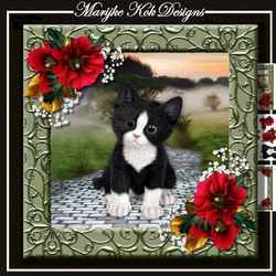 Cute Kitten & Poppies Mini Kit