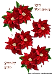 Red poinsettias, vignette, step by step