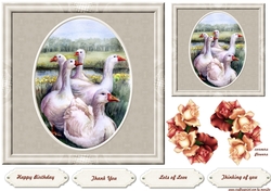 Vintage Geese Meeting