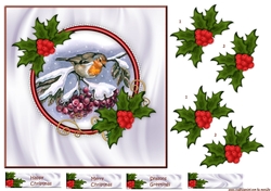 Robin Redbreast