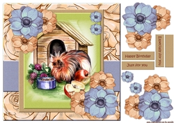 Guinea Pig Cute Quick Card