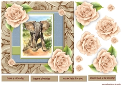 Beautiful Nature quick card