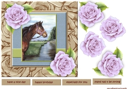 Beautiful Nature Horse  quick card 
