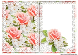 Beautiful Roses & Lace A5 Card INSERT