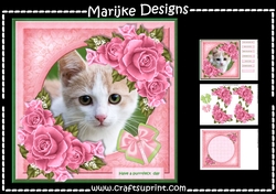 Purrrfect Pink Roses Mini Kit