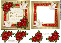 Christmas Card & Insert Dove