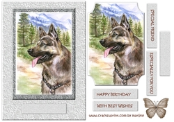 Male Card German Shepherd