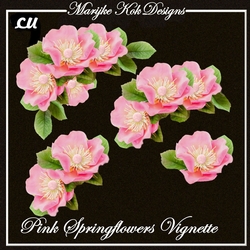 CU Pink Springflowers Vignette