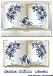 Beaitful Book & Ice Flowers