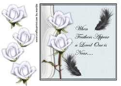 Sympathy Roses & Verse 4