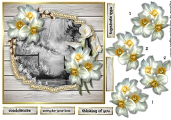 Quick card Sympathy