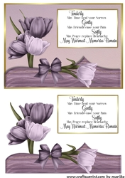 .Sympathy Card & Verse 2
