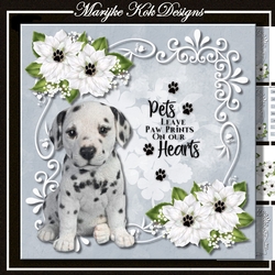 Paw Prints Birthday Card Mini Kit