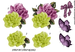 Step by Step Roses
