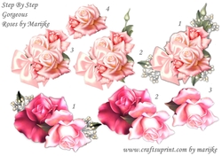 Step By Step Gorgeous roses