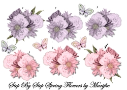 Step By Step  Spring Flowers