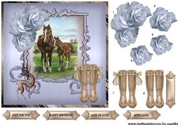 Quick Card Horses