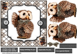7x7 Quick Card Wise Owl