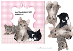Purrrfect birthday