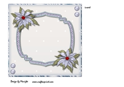 Insert Poinsettias