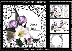 Just a Note Amaryllis Mini Kit