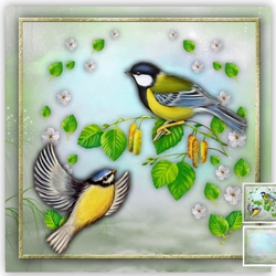 Bird Song Mini Kit