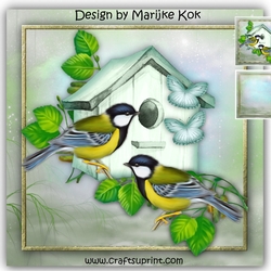 New Home Birdhouse Mini Kit