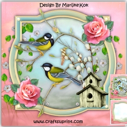 Precious Birds Mini Kit Pink